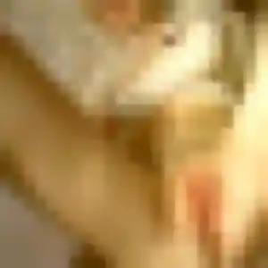 Profil de Lise à Selongey (28 ans) - plan cul gratuit