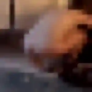 Déborah (27 ans) à Seyssel propose une rencontre rapidement