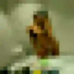 Photo perso de Sylvie, 45 ans à Sierentz - plan discret