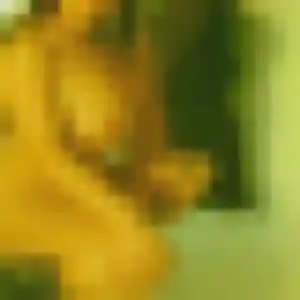 Bintou de Soultzmatt, 28 ans - plan cul sans lendemain