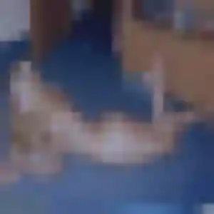 Photo exclusive de Maimouna, 44 ans à Sours - rencontre sans lendemain