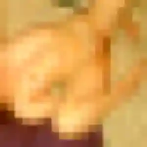 Nogaye, 27 ans, en ligne à Tart pour une rencontre coquine
