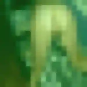 Photo exclusive de Thalia, 37 ans à Terres-de-Caux - plan discret