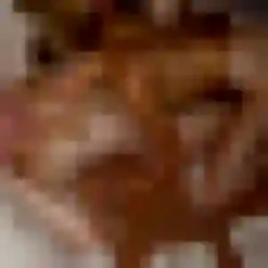 Célestine, 30 ans, disponible à Tesson pour une rencontre coquine
