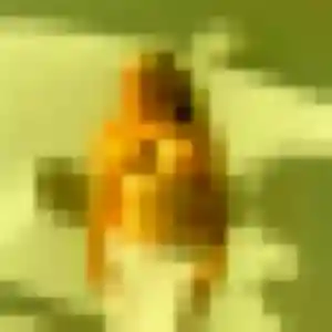 Photo perso de Yankuba, 30 ans à Tillenay - rencontre coquine