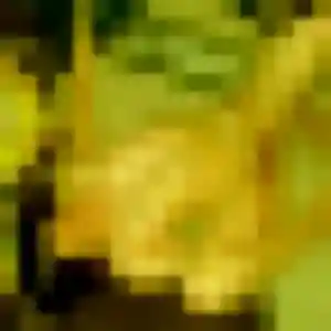 Photo de Affoué à Torcé (23 ans) - plan cul anonyme