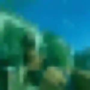 Maëva, 44 ans, dispo pour plan cul à Treffléan