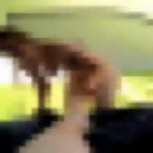 Profil de Titi à Tresques (42 ans) - plan cul discret