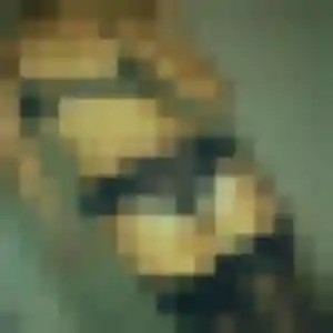 Photo de Suzanne à Val-Revermont (36 ans) - plan cul gratuit