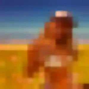 Photo de Roxane à Vedène (31 ans) - plan cul anonyme