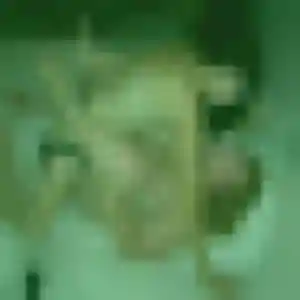 Astou (31 ans) à Velleron cherche un plan cul ce soir