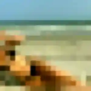 Cassandra, 33 ans, dispo pour plan cul à Velles