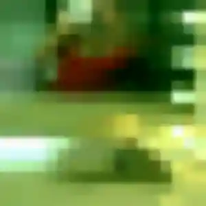 Photo de Assétou à Venon (31 ans) - plan cul discret