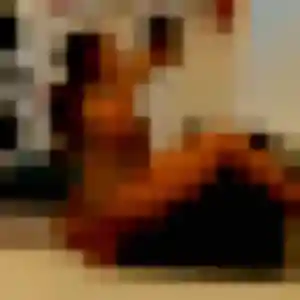 Photo privée de Evelyne, 32 ans à Vescemont - rencontre coquine