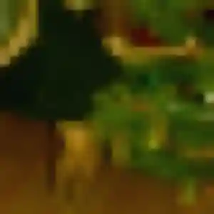 Photo exclusive de Bousso, 34 ans à Vico - plan discret