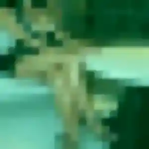 Samira, 33 ans, en ligne à Vieux-Manoir pour une rencontre coquine