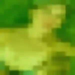 Photo exclusive de Xavière, 32 ans à Viggianello - rencontre sans lendemain