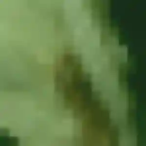 Photo exclusive de Precious, 38 ans à Villecresnes - rencontre coquine
