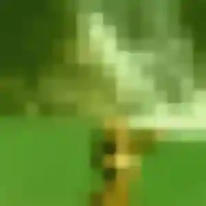 Photo sexy de Shanelle, 33 ans à Villedieu-sur-Indre - rencontre coquine