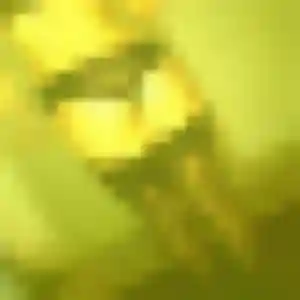 Suzanne, 28 ans, connectée à Villers-les-Pots pour un plan cul