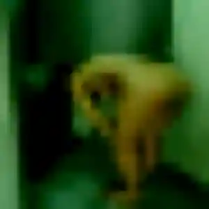 Photo de Sarjo à Volmunster (36 ans) - plan cul gratuit
