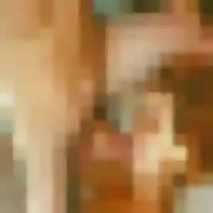 Photo de Odile à Waldhambach (23 ans) - plan cul discret