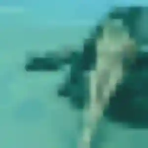 Contacte Astan, 26 ans à Yzeron en t'inscrivant