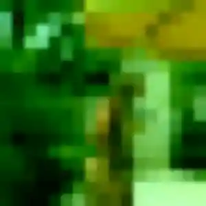 Contacte Valentine, 24 ans à Zonza en t'inscrivant